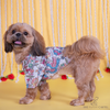The Papaw Cartel Kalamkari Print Classic Kurta with Zari for Dogs & Cats Both-Clothing & Accessories The Papaw Cartel Dropship S