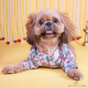 The Papaw Cartel Kalamkari Print Classic Kurta with Zari for Dogs & Cats Both-Clothing & Accessories The Papaw Cartel Dropship