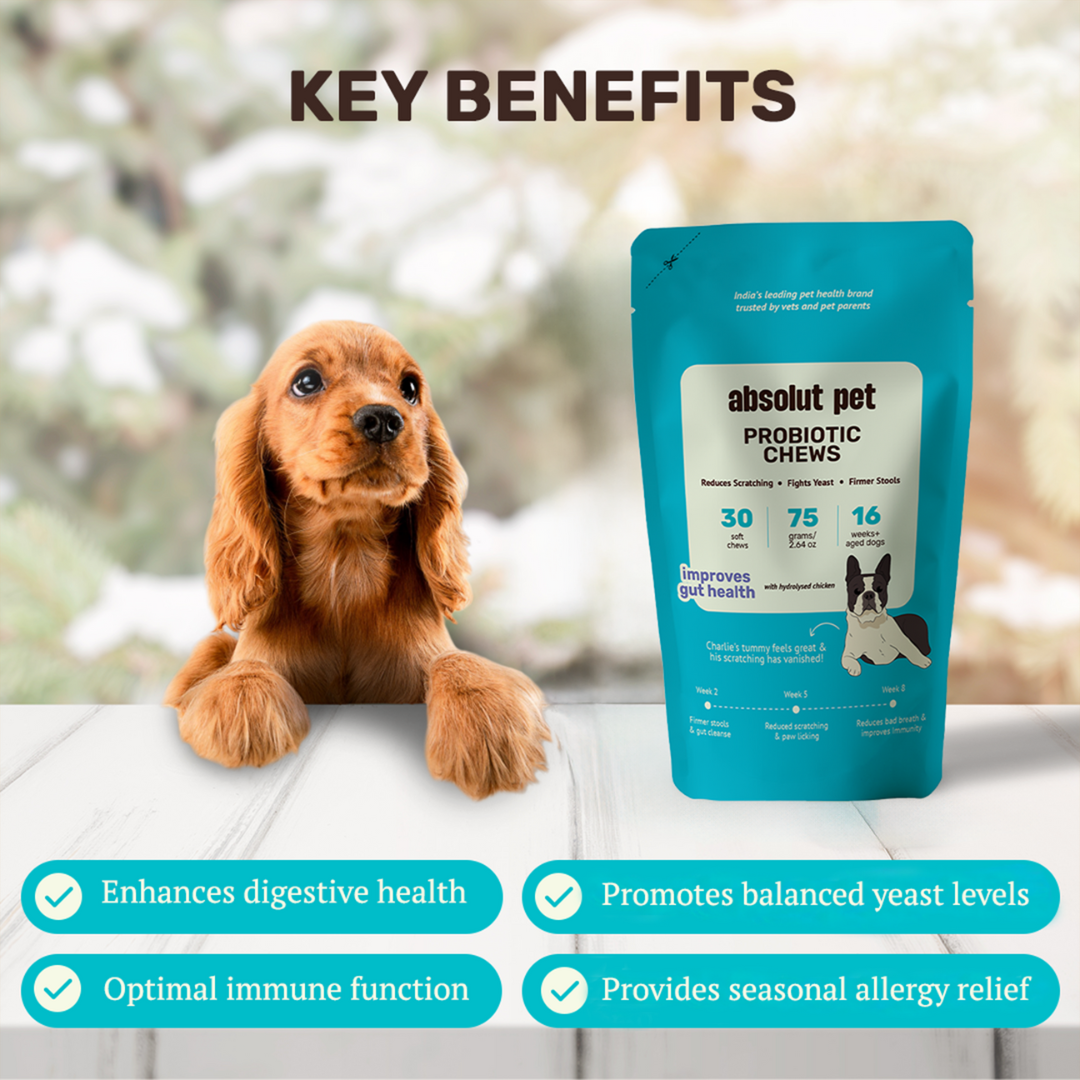 Absolut Pet Probiotics Gut & Hip, Joint Care & Skin & Coat with Collagen Health Dog Supplements Combo Dogs-Health & Wellness Absolut Pet