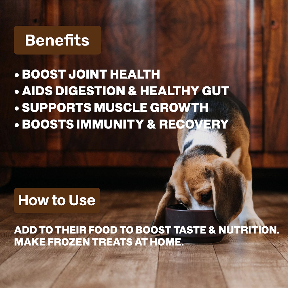 Absolut Pet Chicken Bone Broth for Dogs Dogs-Wet Food Absolut Pet