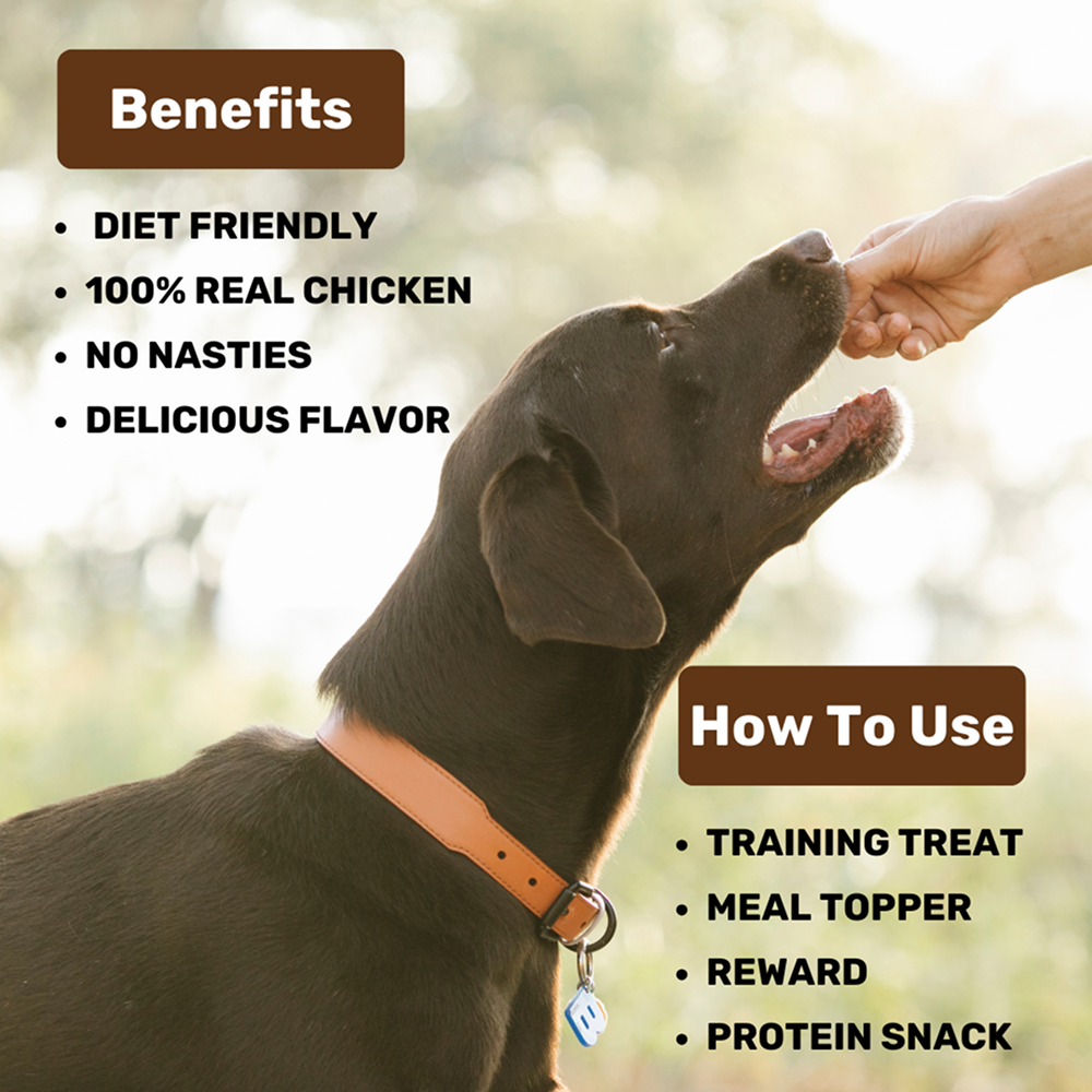 Absolut Pet High Protein Low Fat Chicken Jerky Treats for Dogs Dog Treats + Others Absolut Pet