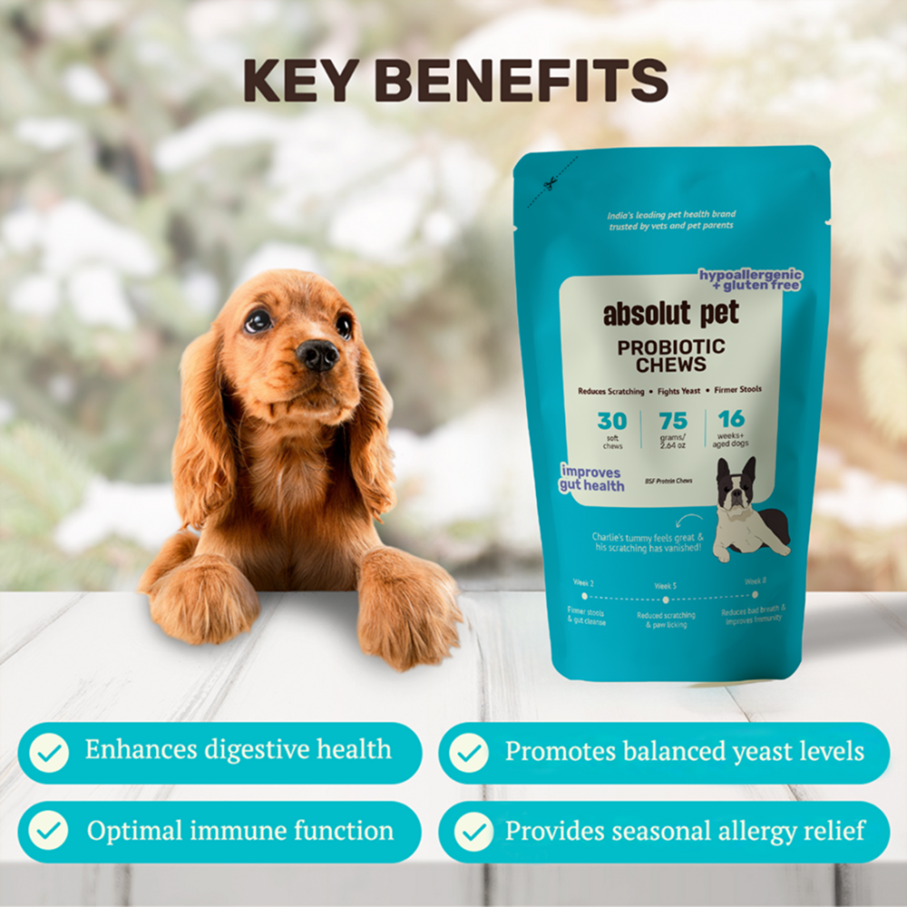 Absolut Pet Probiotics Hypoallergenic Gut Health Dog Supplement Dogs-Health & Wellness Absolut Pet