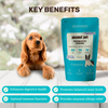 Absolut Pet Probiotics Hypoallergenic Gut Health Dog Supplement Dogs-Health & Wellness Absolut Pet