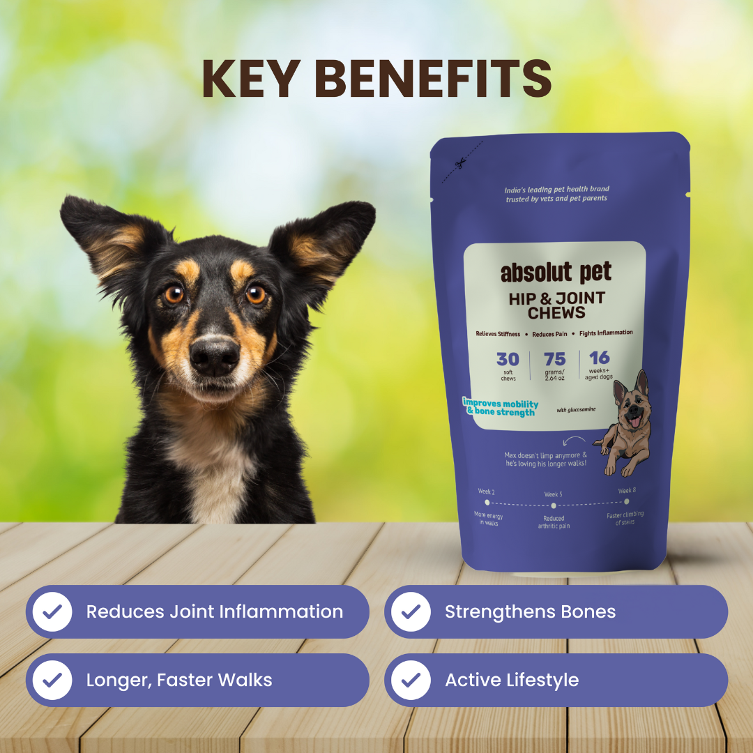 Absolut Pet Probiotics Gut & Hip, Joint Care & Skin & Coat with Collagen Health Dog Supplements Combo Dogs-Health & Wellness Absolut Pet