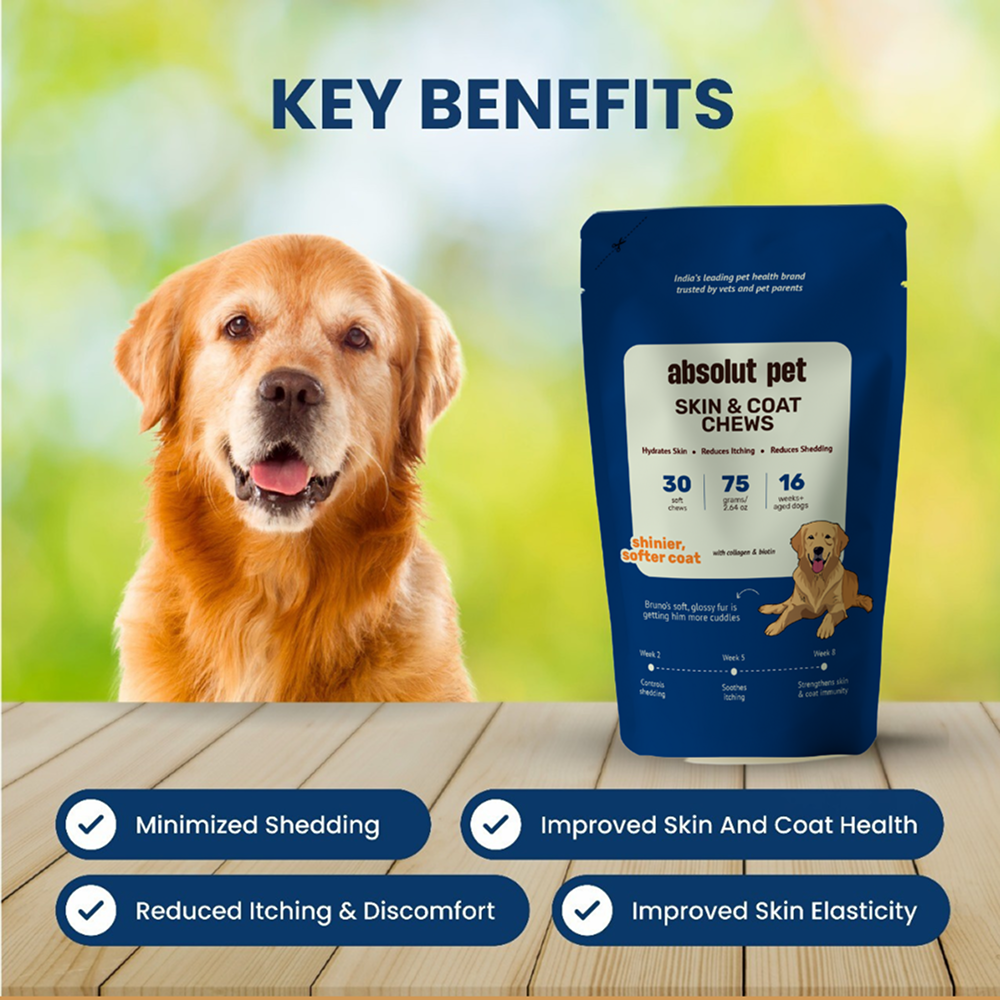 Absolut Pet Skin & Coat with Collagen and Biotin Dog Supplements Dogs-Health & Wellness Absolut Pet