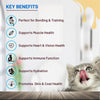 Active Lickable Real Chicken Creamy Cat Treats Cats-Treats & Others Active