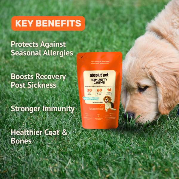 Absolut Pet Postbiotics to Boost Immunity Chews Dogs Treat