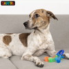 Skatrs Key Shaped Chew Teether Toy for Puppy and Dogs