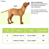 Kibbo Nylon Collar with Adjustable Buckle and D-Ring (Yellow/Pack of 2) Dogs-Collar, Leashes, harnesses Kibbo Dropship
