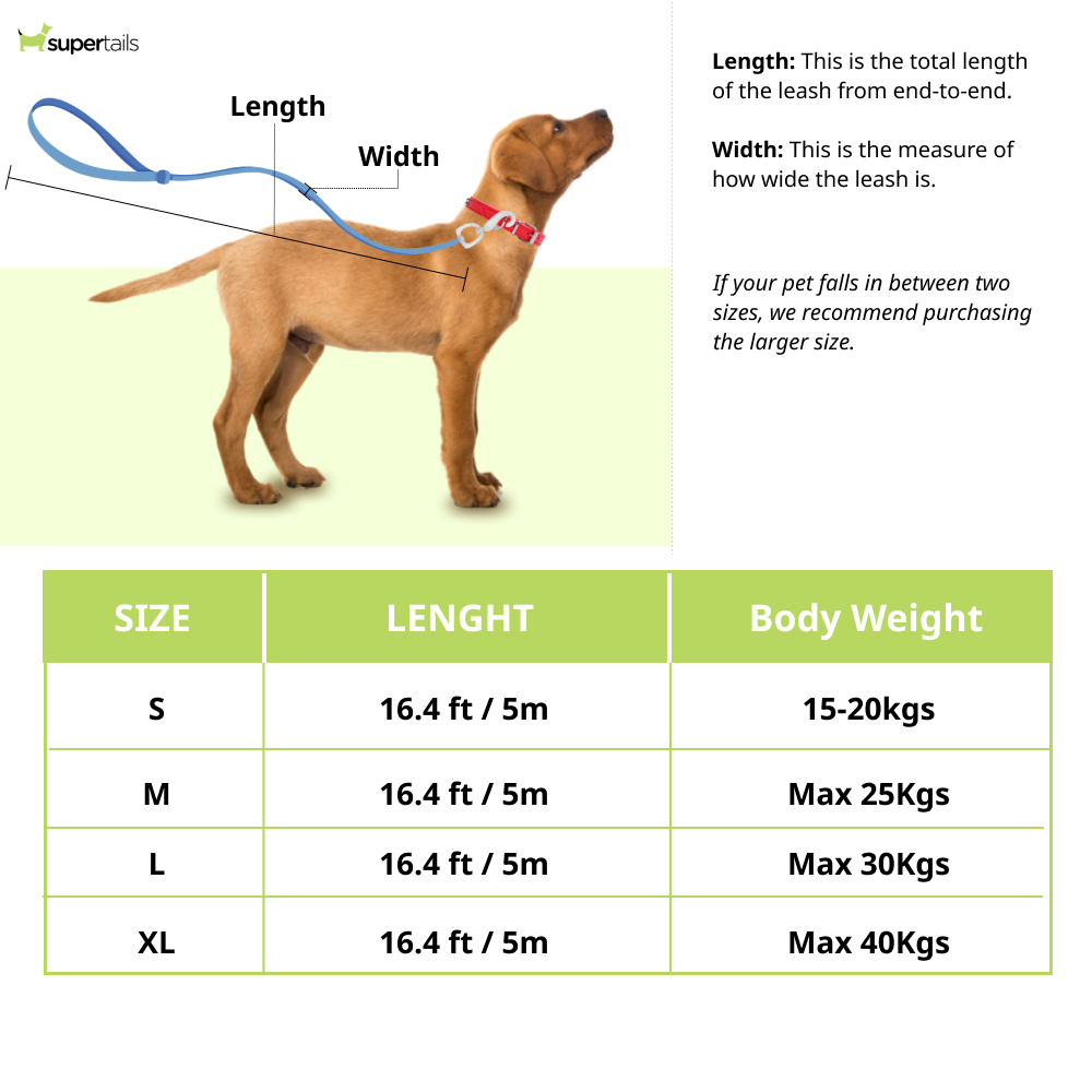 Fida Autobrake Retractable Leash for Dogs (White) Dogs-Collar, Leashes, harnesses Fida