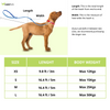 Fida Styleash Retractable Leash for Dogs (Blue) Dogs-Collar, Leashes, harnesses Fida