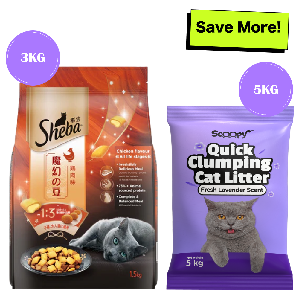 Sheba Chicken Flavour Irresistible All Life Stage Cat Dry Food