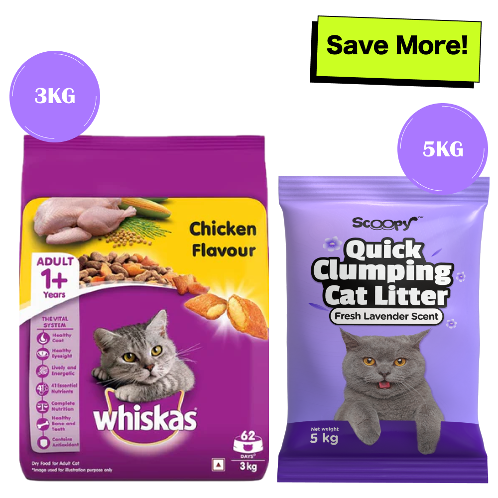 Whiskas Chicken Flavour Cat (Adult 1+) Dry Food