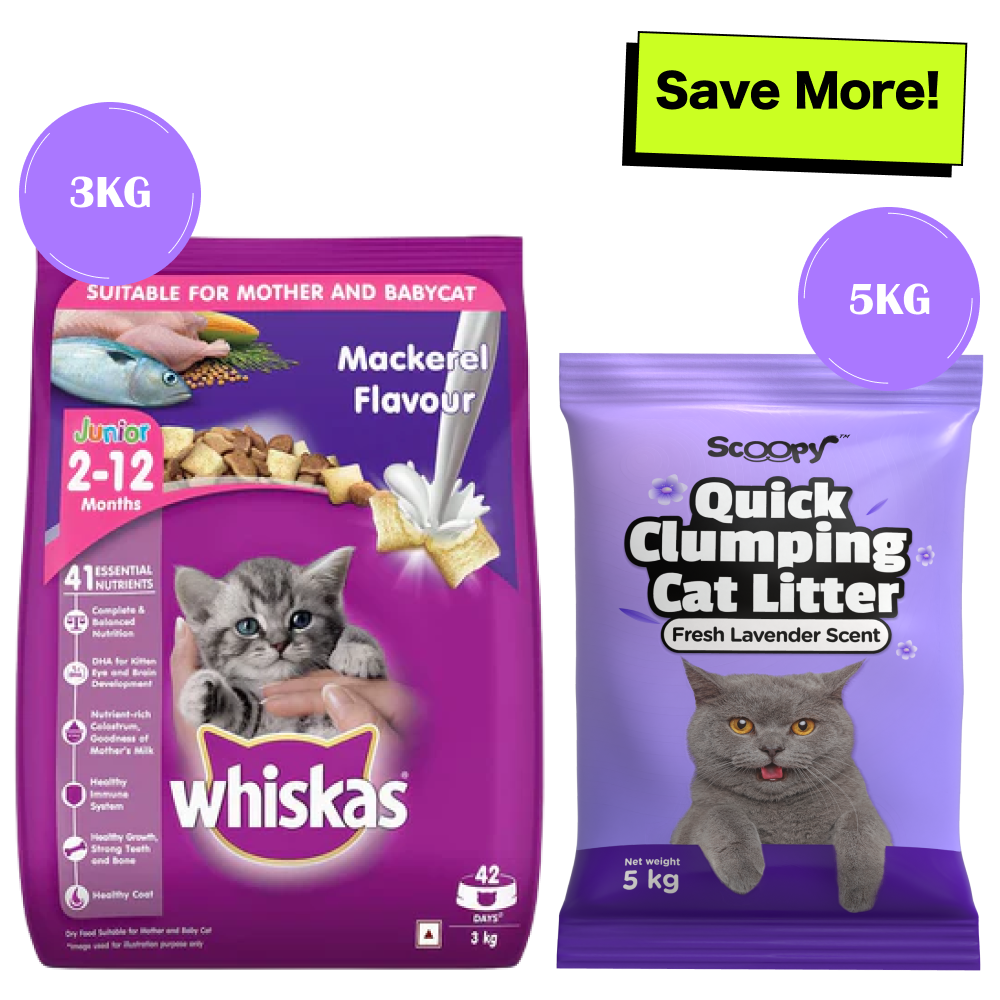 Whiskas Mackerel Flavour Kitten (2 to 12 months)Cat Dry Food