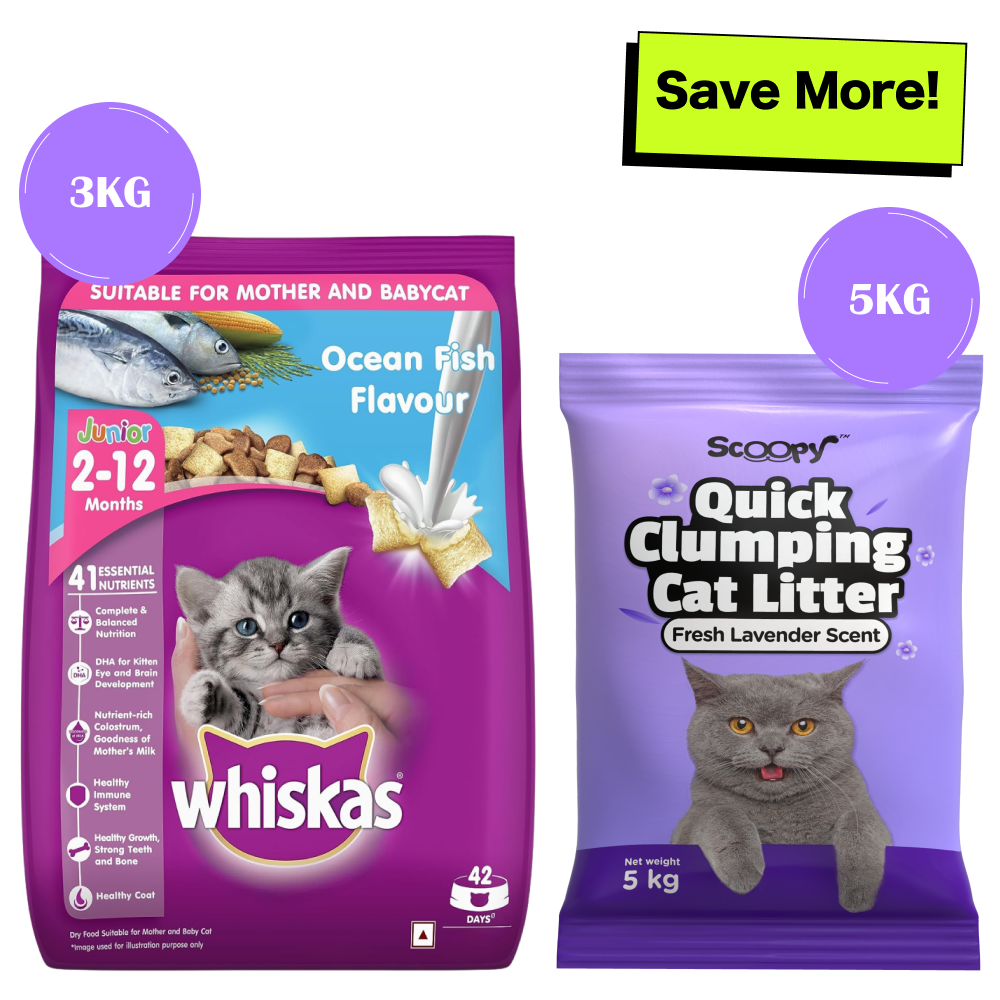 Whiskas Ocean Fish Kitten/Mother and Baby Cat Dry Food