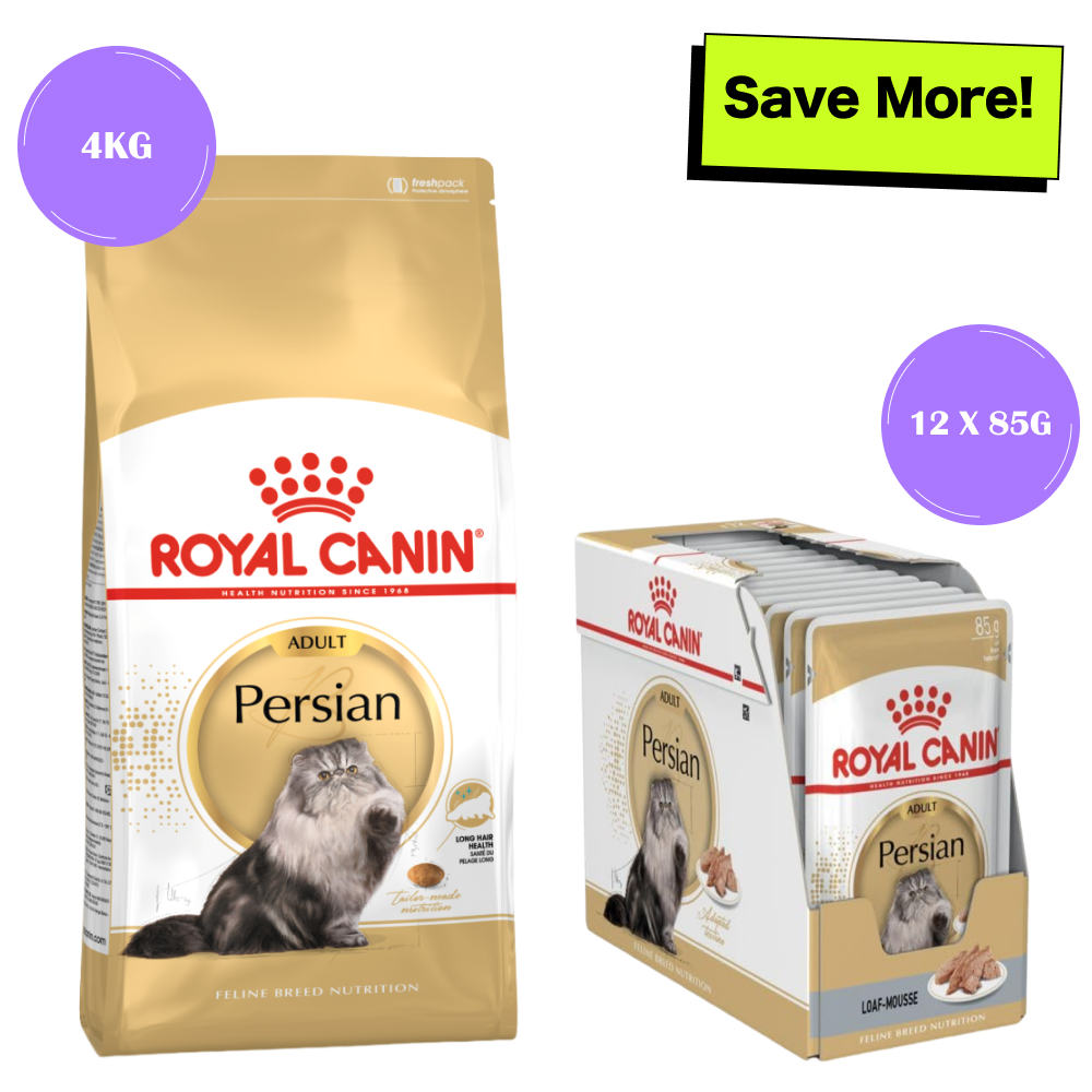 Royal Canin Persian Adult Cat Dry and Wet Food Combo