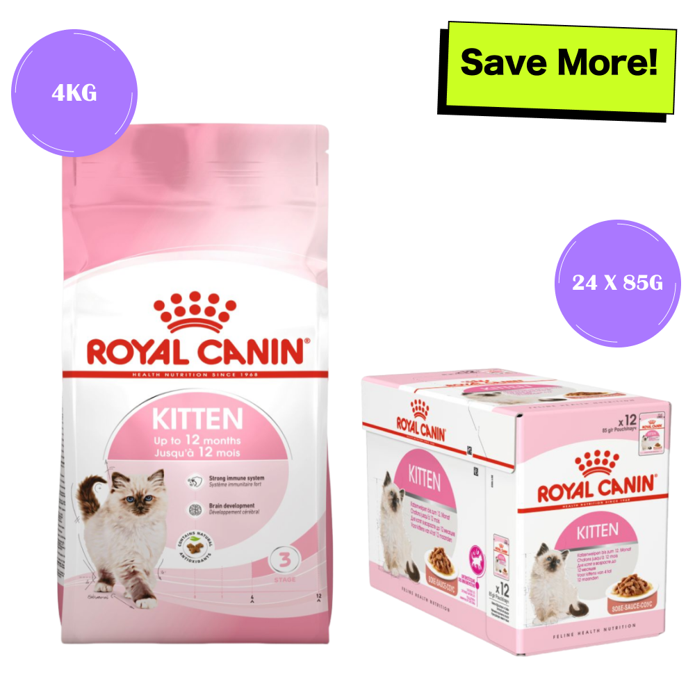 Royal Canin Kitten Cat Dry and Wet Food Combo