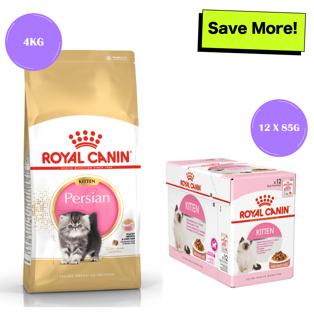 Royal Canin Persian Dry Food and Gravy Kitten Cat Wet Food Combo