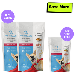 Yummytails Chicken and Fish Premium Adult Medium and Large Dog Dry Food