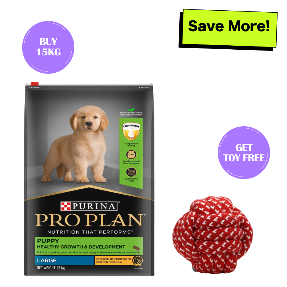 Pro Plan Chicken Large Breed Puppy Dog Dry Food (New Improved Formula)