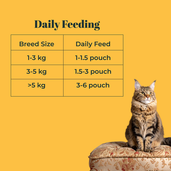 IndieCat Royal Growth Chicken Kitten Cat Wet Food