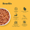 IndieCat Royal Growth Chicken Kitten Cat Wet Food Cats-Wet Food IndieCat