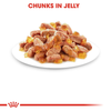 Royal Canin Kitten Jelly and Kitten Loaf Cat Wet Food Combo