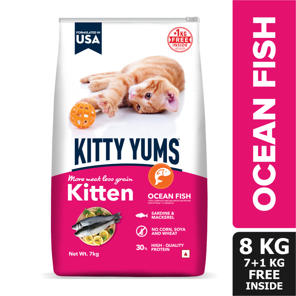 Kitty Yums Ocean Fish Kitten (1 to 12 Months) Cat Dry Food