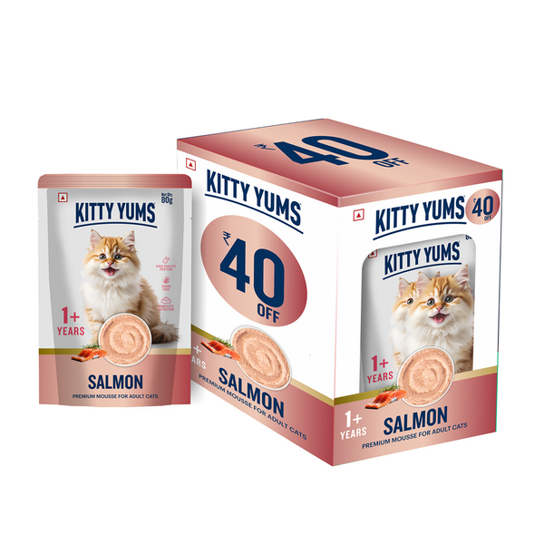 Kitty Yum Salmon Mousse Adult Cat Wet Food