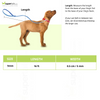 Trixie New Neon M Tape Leash for Dogs (Yellow) Dogs-Collar, Leashes, harnesses Trixie
