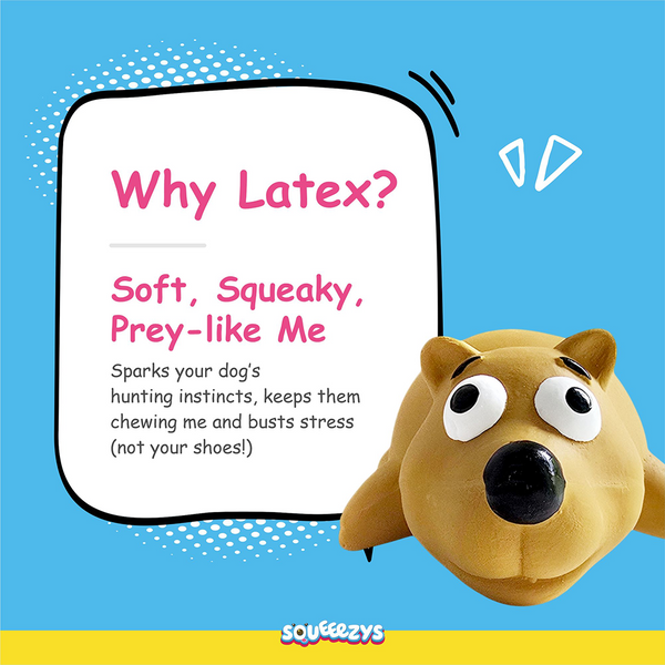 Squeeezys Latex Little Bear Squeaky Chew Toy for Dogs (Brown)