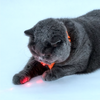 Barkbutler x Fofos Rechargeable Laser Collar Smart Toy for Cats