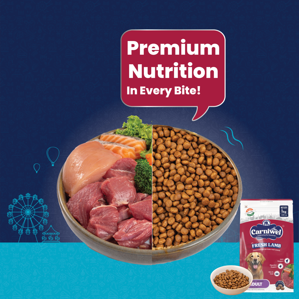 Carniwel Fresh Lamb Large Breed Dry Food and Pedigree Chicken and Liver Chunks in Gravy Adult Dog Wet Food Combo Exclusive Combo Exclusive Combo