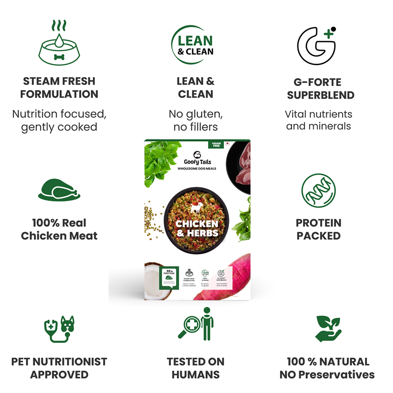 Goofy Tails Chicken and Herbs Grain Free Dogs and Puppies Fresh Food Dogs-Fresh Food Goofy Tails
