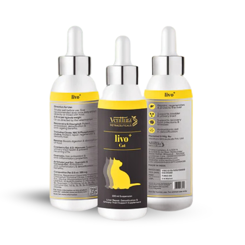 Venttura Liver Repair, Support Recovery & Recuperation Supplement for Cats Cats-Health & Wellness Venttura 100mL