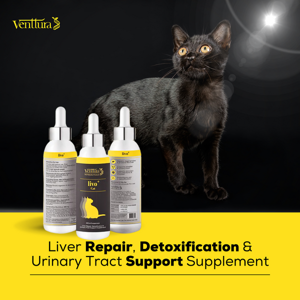 Venttura Liver Repair, Support Recovery & Recuperation Supplement for Cats