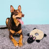 Zippy Paws Loopy Sheep Plush Toy for Dogs Dogs-Toys Zippy Paws