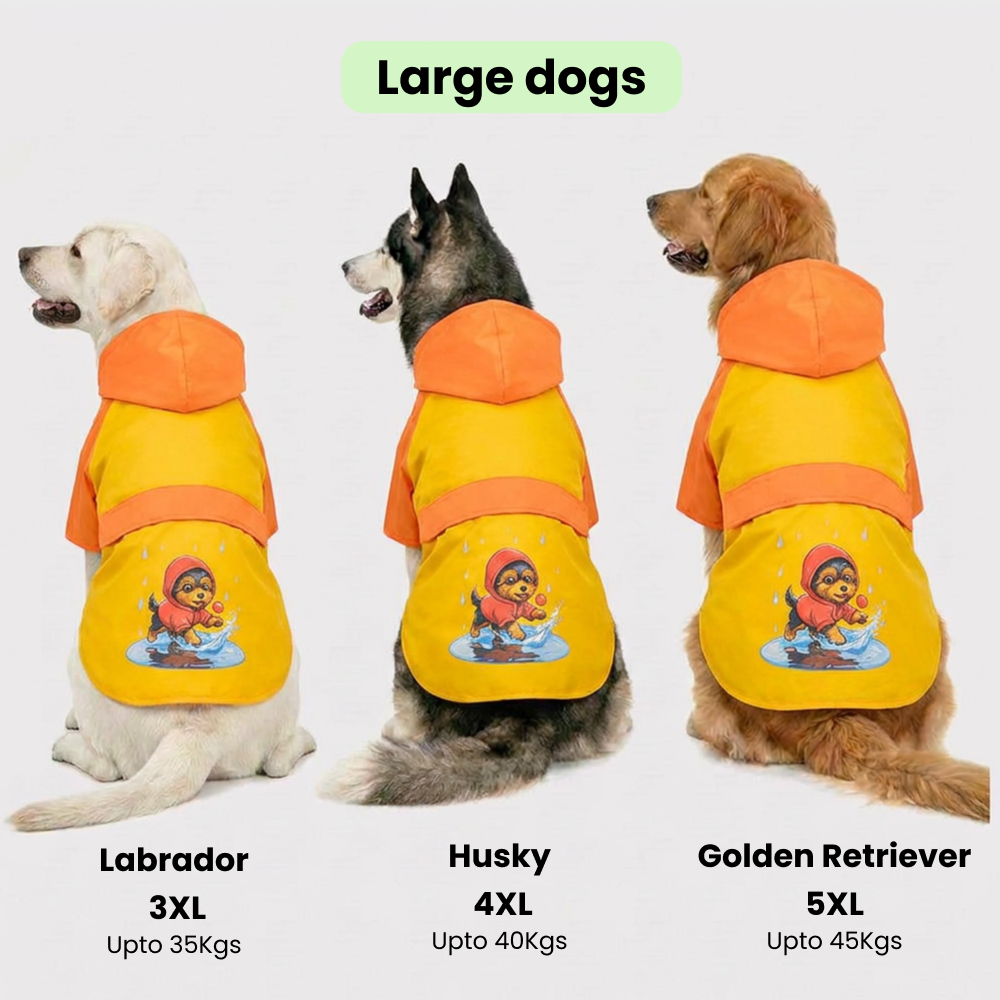 Thunder Dog Raincoat for Dogs (Yellow Orange) Dogs-Clothing & Accessories Pets Way Dropship