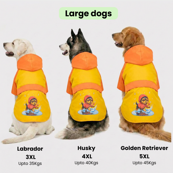 Thunder Dog Raincoat for Dogs (Yellow Orange)