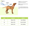 HUFT Basics Nylon Leash for Dogs (Crimson Red) Dogs-Collar, Leashes, harnesses Heads Up for Tails