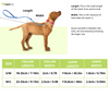 Pawpourri Nylon Webbing Leash & Collar for Cats & Dogs (Turquoise) Both-Collar, Leashes, harnesses Pawpourri Dropship