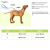 Warner Bros Batman Leash for Dogs and Cats Both-Collar, Leashes, harnesses Warner Bros