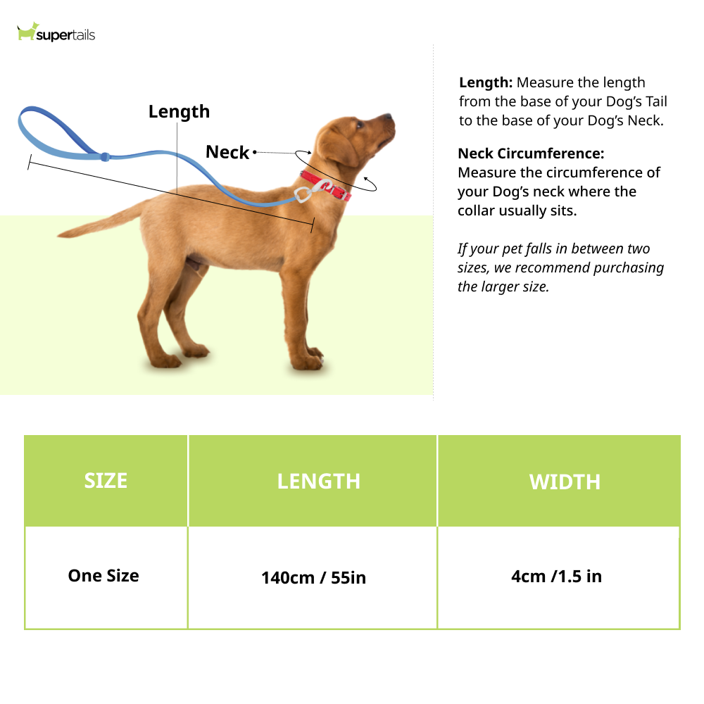 Aramesh Colorful Trails Leash for Dogs (Orange with Multicolor) Dogs-Collar, Leashes, harnesses Aramesh Dropship