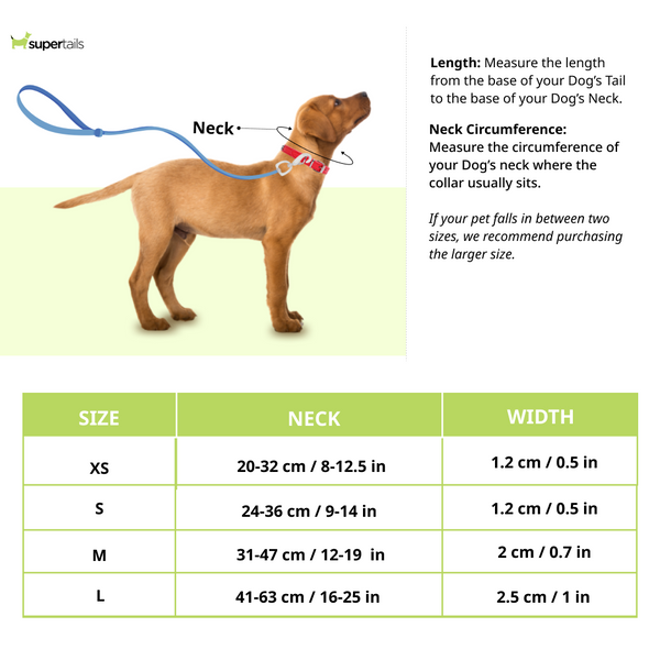 Red Dingo Classic Collar for Dogs (Red)
