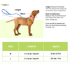 Red Dingo Classic SuperLead Leash For Dogs (Purple) Dogs-Collar, Leashes, harnesses Red Dingo Dropship