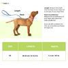 Red Dingo Classic Collar For Cats (Red) Cats-Collar, Leashes, harnesses Red Dingo Dropship