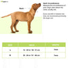 Ruffwear Knot a Collar Rope for Dogs (Pumpkin Orange) Dogs-Collar, Leashes, harnesses Ruffwear