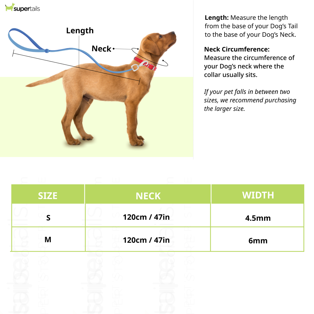 Truelove High Density Rope Webbing Leash for Dogs (Orange)