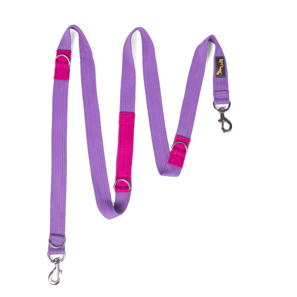 Buy Let's Wag Multi Purpose Leash for Dogs (Purple) online at ...