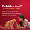 Unicharm Silver Spoon Licky Creamy Salmon Puree Stick Torori Salmon Cat Treats Cats-Treats & Others Unicharm